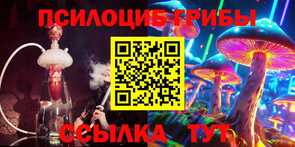 Галлюциногенные грибы Psilocybe Комсомольск-на-Амуре