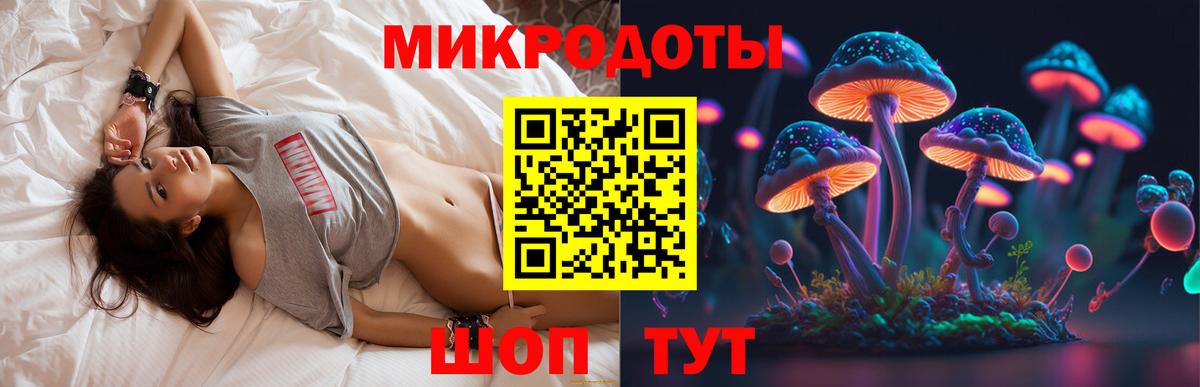 Комсомольск-на-Амуре  Галлюциногенные грибы Psilocybe  Вход с VPN 